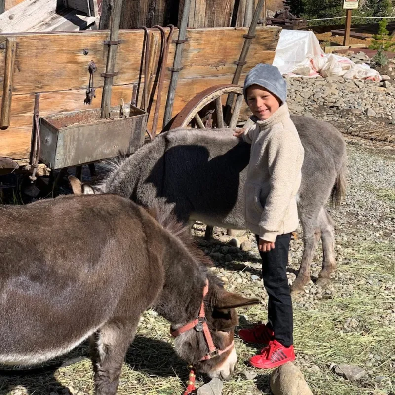a little kid petting an animal with country boy mine in breckenridge, colorado